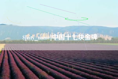 周口中国十七块金牌