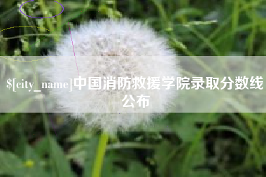 周口中国消防救援学院录取分数线公布