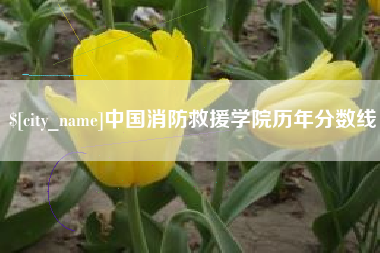 周口中国消防救援学院历年分数线