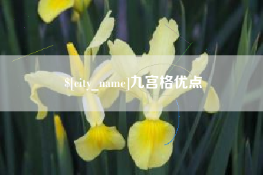 周口九宫格优点