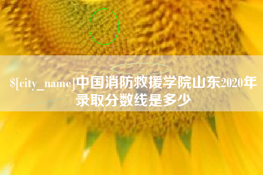 周口中国消防救援学院山东2020年录取分数线是多少