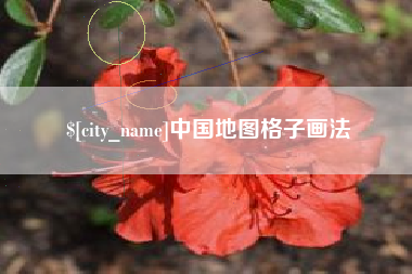 周口中国地图格子画法