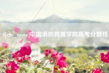 周口中国消防救援学院高考分数线
