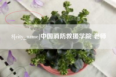 周口中国消防救援学院 老师