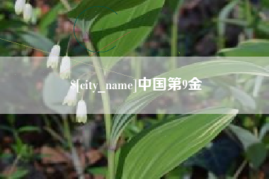 周口中国第9金