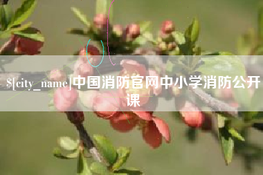 周口中国消防官网中小学消防公开课