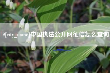周口中国执法公开网征信怎么查询