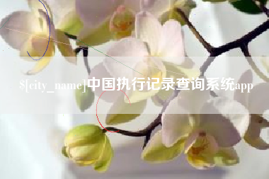 周口中国执行记录查询系统app