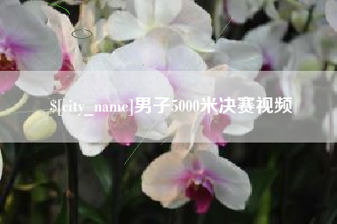 周口男子5000米决赛视频
