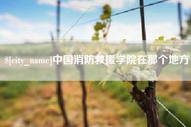 周口中国消防救援学院在那个地方