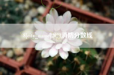 周口2021消防分数线