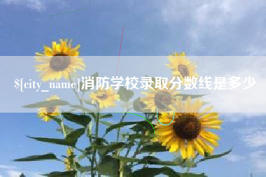周口消防学校录取分数线是多少
