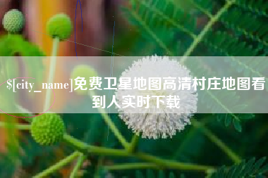 周口免费卫星地图高清村庄地图看到人实时下载