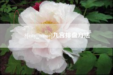 周口九宫排盘方法