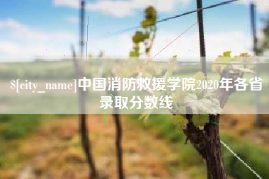 周口中国消防救援学院2020年各省录取分数线