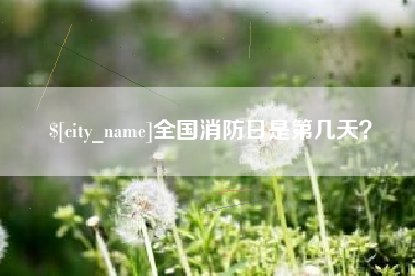 周口全国消防日是第几天？