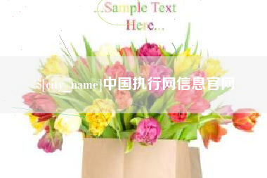 周口中国执行网信息官网