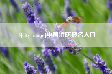 周口中国消防报名入口