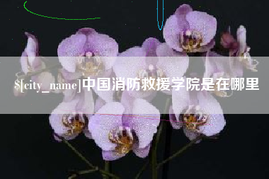 周口中国消防救援学院是在哪里