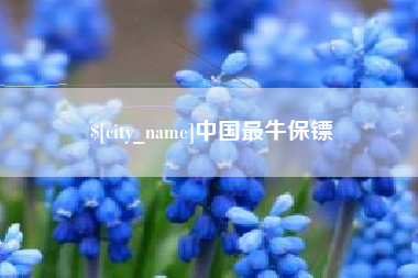 周口中国最牛保镖