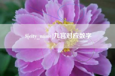 周口九宫对应数字