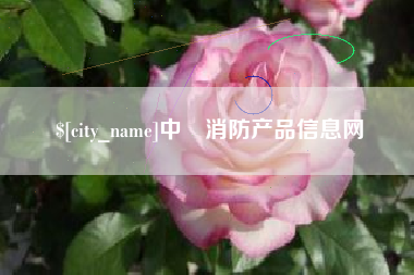 周口中囯消防产品信息网