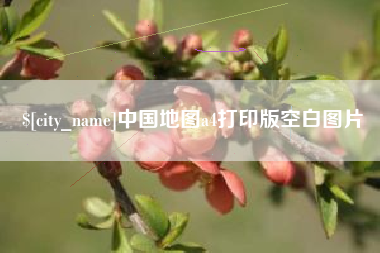 周口中国地图a4打印版空白图片