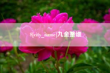 周口九金是谁