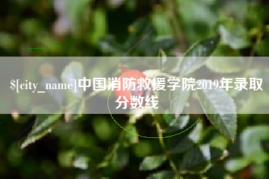 周口中国消防救援学院2019年录取分数线