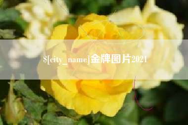 周口金牌图片2021