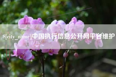 周口中国执行信息公开网平台维护