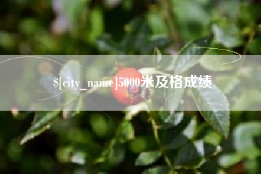 周口5000米及格成绩