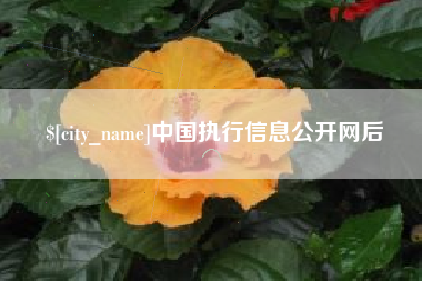 周口中国执行信息公开网后