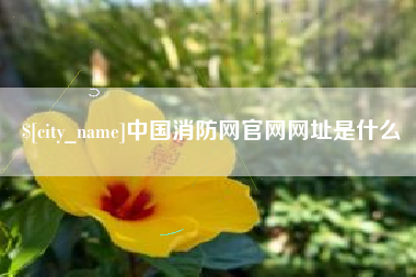 周口中国消防网官网网址是什么