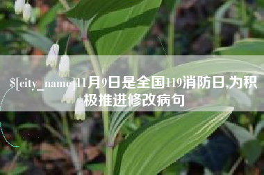 周口11月9日是全国119消防日,为积极推进修改病句
