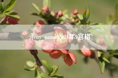 周口2021年9宫格