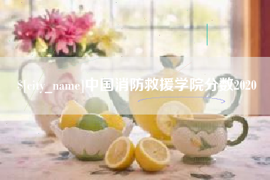 周口中国消防救援学院分数2020