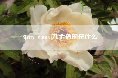 周口九金指的是什么