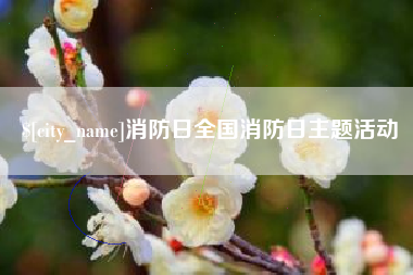 周口消防日全国消防日主题活动