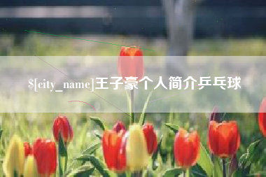 周口王子豪个人简介乒乓球