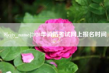 周口2020年消防考试网上报名时间