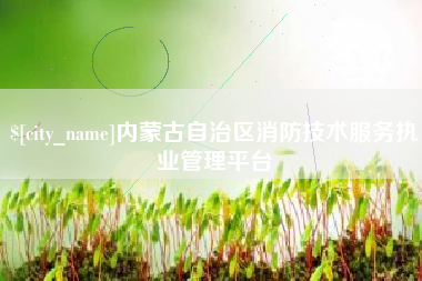 周口内蒙古自治区消防技术服务执业管理平台