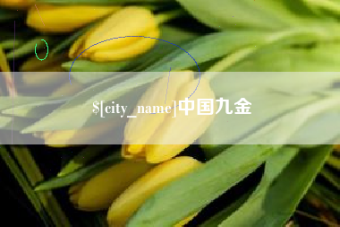 周口中国九金