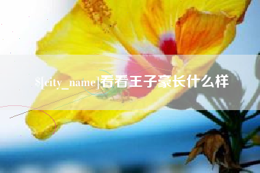 周口看看王子豪长什么样