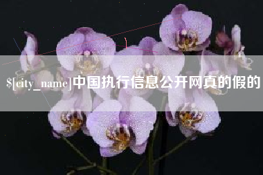 周口中国执行信息公开网真的假的