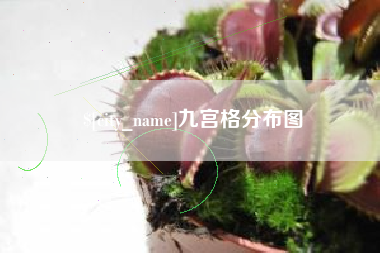 周口九宫格分布图