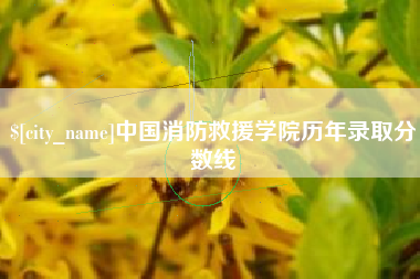周口中国消防救援学院历年录取分数线