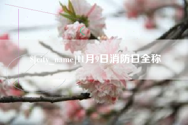 周口11月9日消防日全称