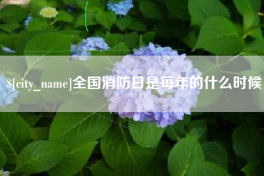 周口全国消防日是每年的什么时候