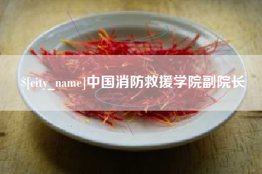 周口中国消防救援学院副院长